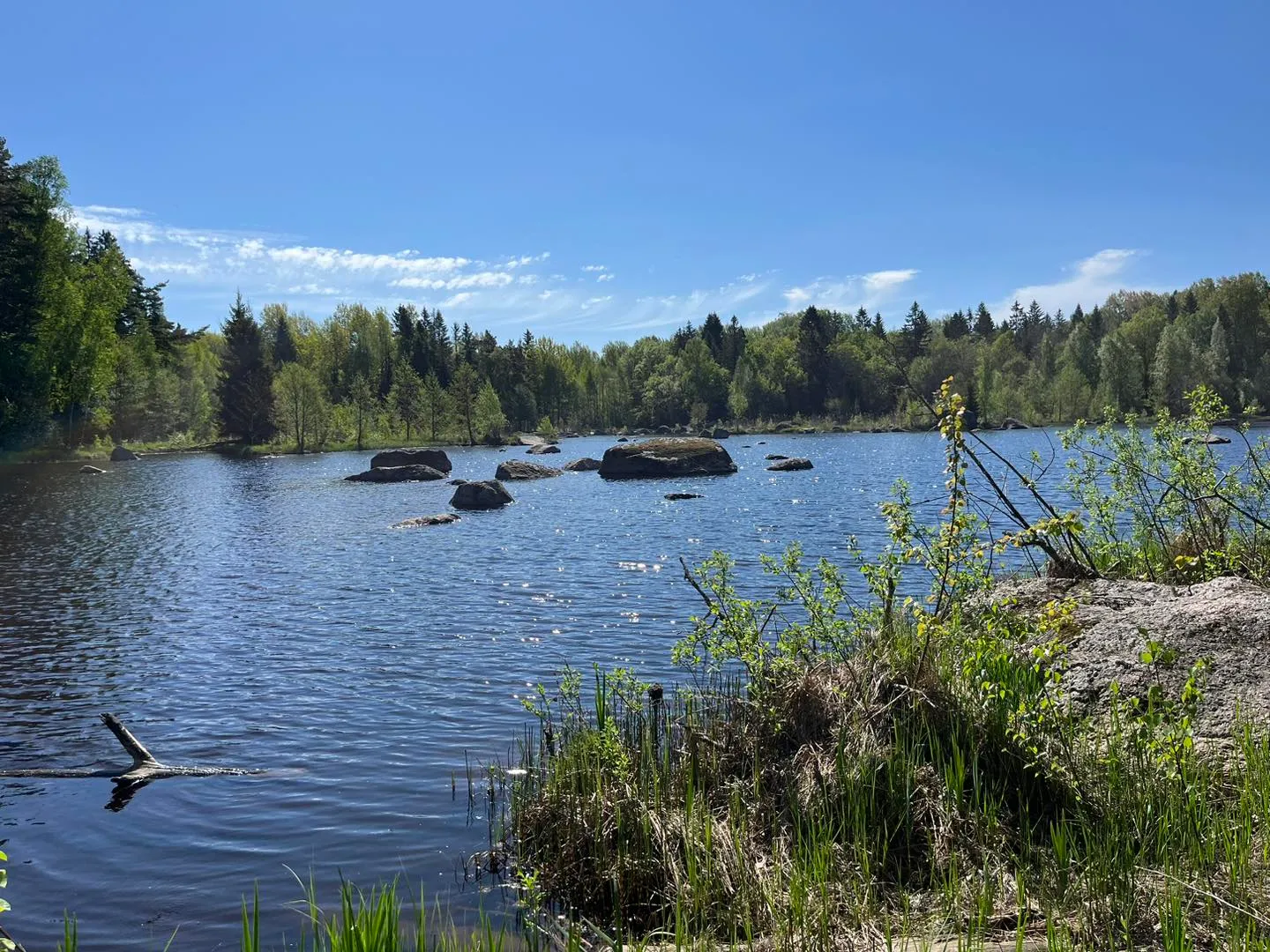 Strömmande vatten mellan stenar och skogsklädda stränder.