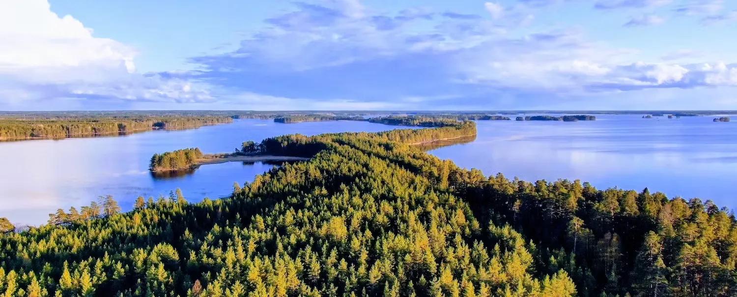 Sjölandskap vid Hedesunda med skogsklädda stränder.